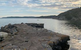 Naturnaera Gard I Tyfta